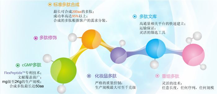 多肽的定制与合成科技含量十足.jpg