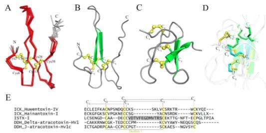 多肽合成结构模式.jpg
